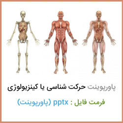 دانلود فایل پاورپوینت حرکت شناسی یا کینزیولوژی دانلود فایل پاورپوینت حرکت شناسی یا کینزیولوژی