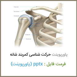 دانلود فایل پاورپوینت حرکت شناسی کمربند شانه دانلود فایل پاورپوینت حرکت شناسی کمربند شانه