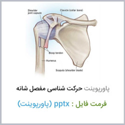 دانلود فایل پاورپوینت حرکت شناسی ساختاری مفصل شانه دانلود فایل پاورپوینت حرکت شناسی ساختاری مفصل شانه