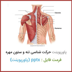 دانلود فایل پاورپوینت حرکت شناسی تنه و ستون مهره دانلود فایل پاورپوینت حرکت شناسی تنه و ستون مهره