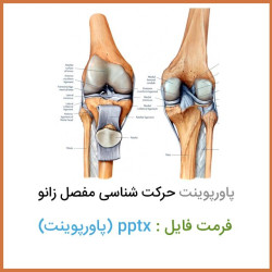 دانلود فایل پاورپوینت حرکت شناسی مفصل زانو دانلود فایل پاورپوینت حرکت شناسی مفصل زانو