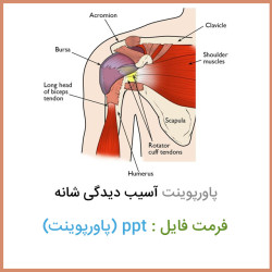 فایل پاورپوینت آسیب دیدگی شانه Shoulder injuries فایل پاورپوینت آسیب دیدگی شانه Shoulder injuries