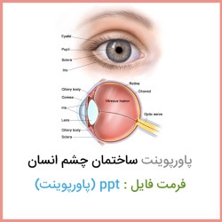 دانلود فایل پاورپوينت ساختمان چشم انسان دانلود فایل پاورپوينت ساختمان چشم انسان