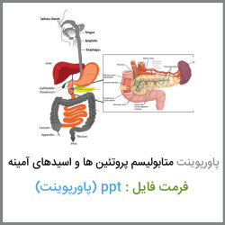 دانلود فایل پاورپوینت متابولیسم پروتئین ها و اسیدهای آمینه دانلود فایل پاورپوینت متابولیسم پروتئین ها و اسیدهای آمینه